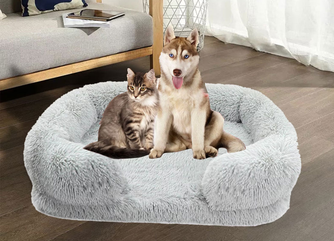 Choosing the Perfect Bed for Your Cat or Small Dog
