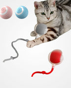 Automatic Rolling Cat Ball Toy with Teaser Bird | Rechargeable Smart Interactive Toy for Cats & Kittens