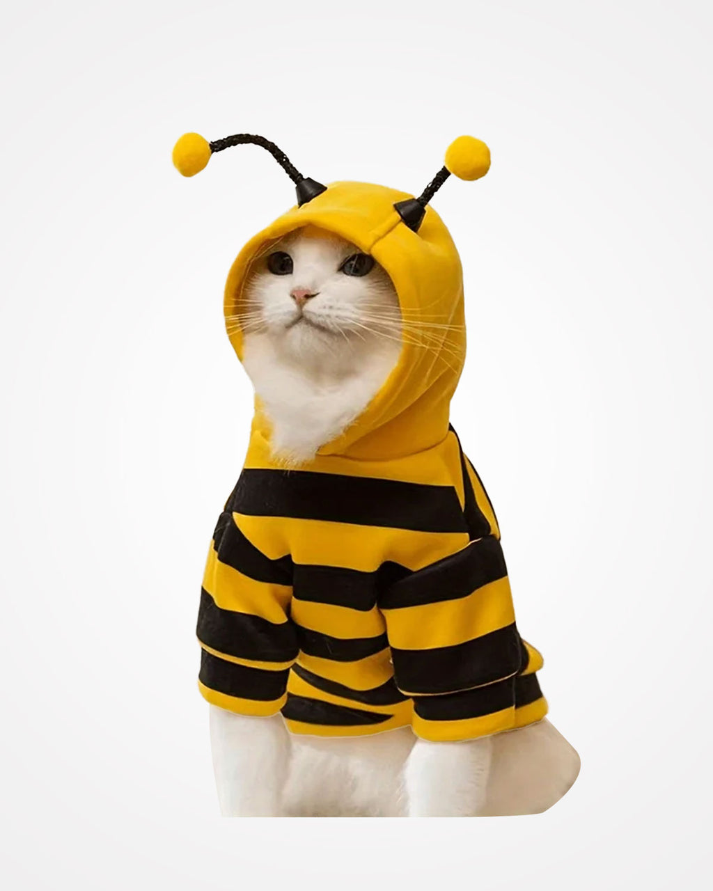 Bee Pet Costume Hoodie for Dogs & Cats