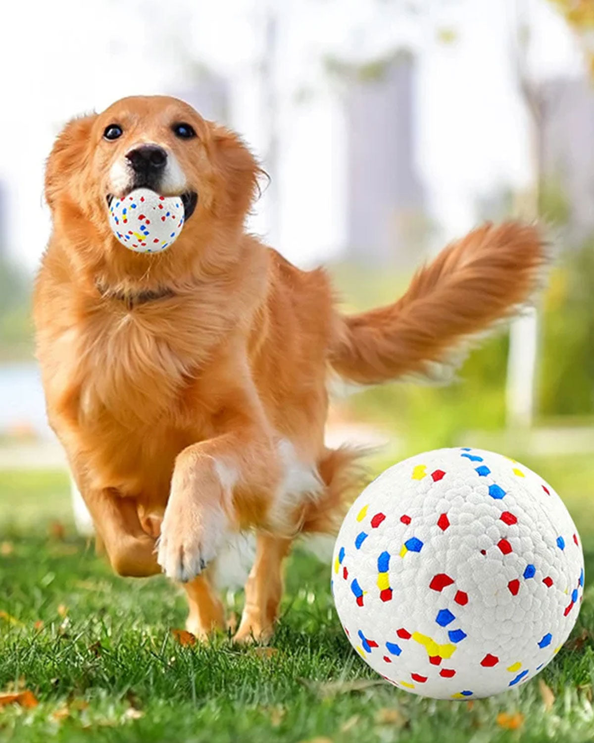 Bite Resistant Solid Dog Ball Toys for Small Large Dogs