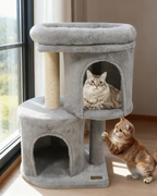 Compact Cat Tree with Two Condos and Scratching Posts