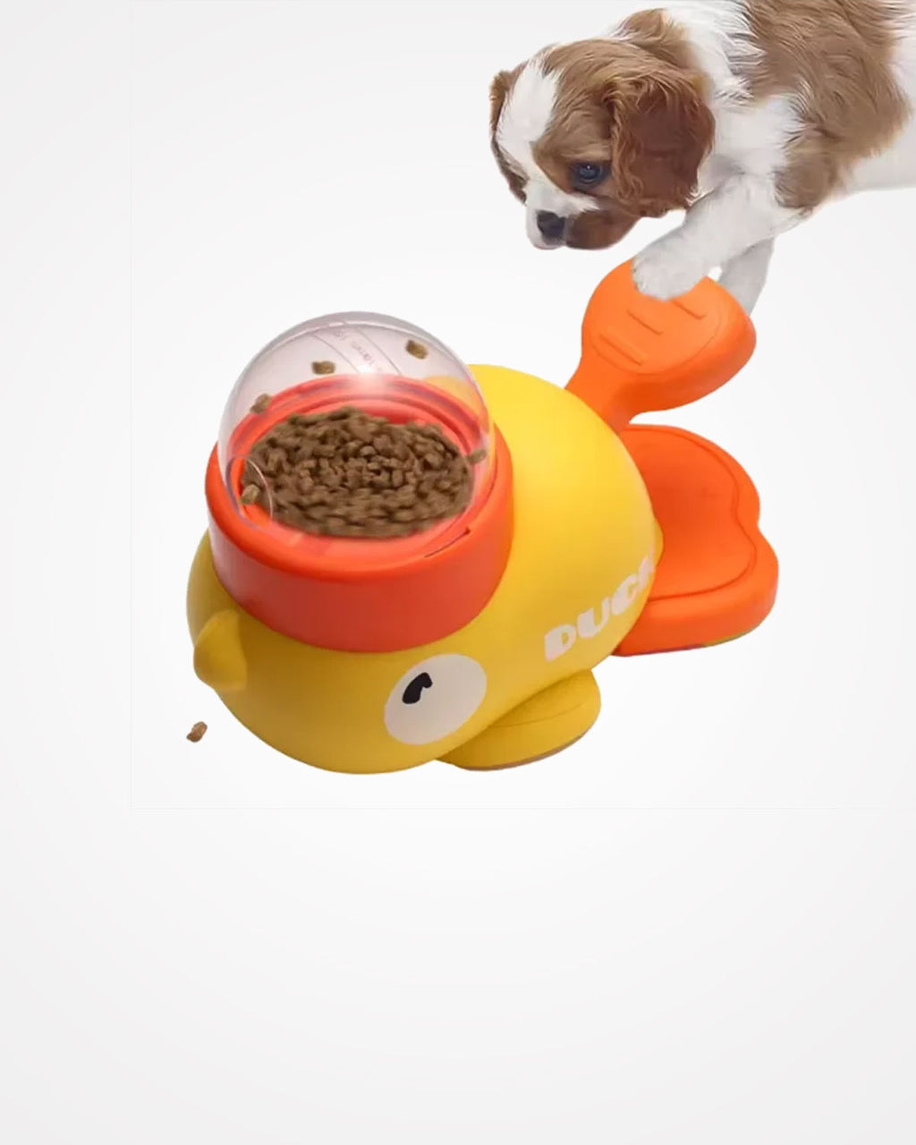 Interactive Dog Ball Toy | Durable Puppy Play Toy for Indoor & Outdoor Use