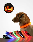 LED Glow Dog Collar | USB Rechargeable Luminous Safety Collar for Night Walks & Pet Visibility