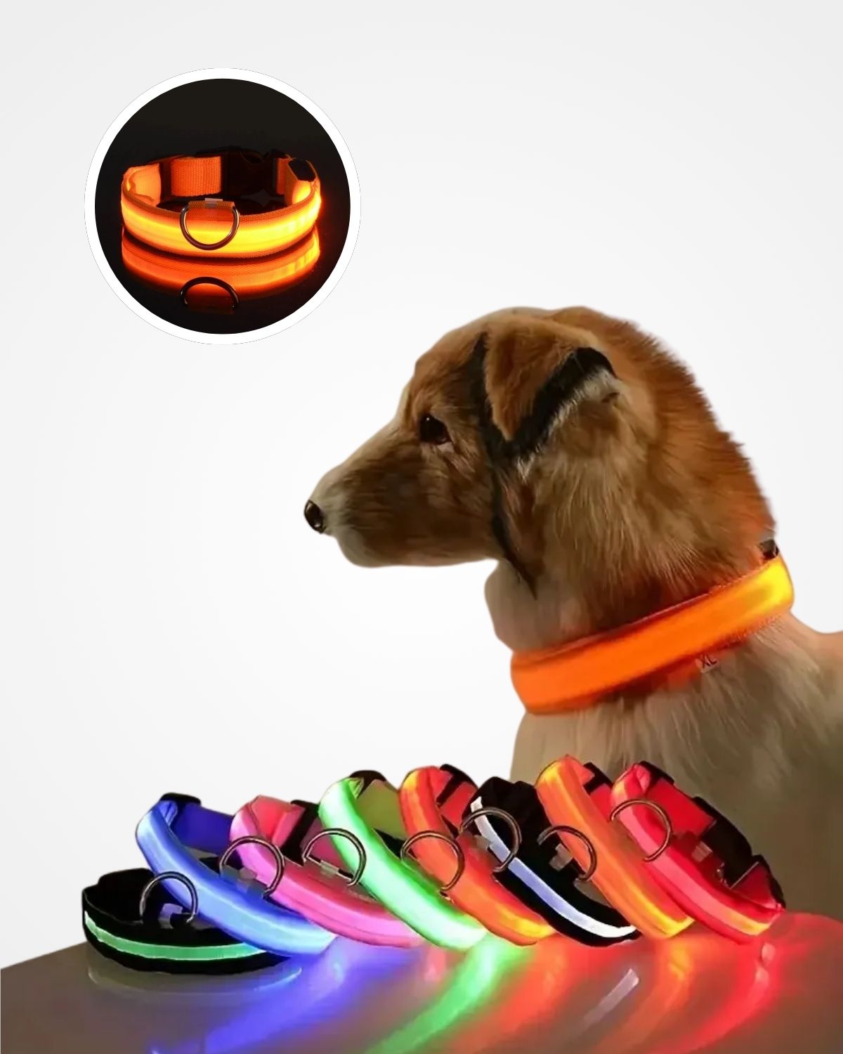 LED Glow Dog Collar | USB Rechargeable Luminous Safety Collar for Night Walks & Pet Visibility