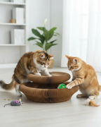 Magic Organ Cat Scratcher Board with Ball - Foldable Corrugated Scratching Toy
