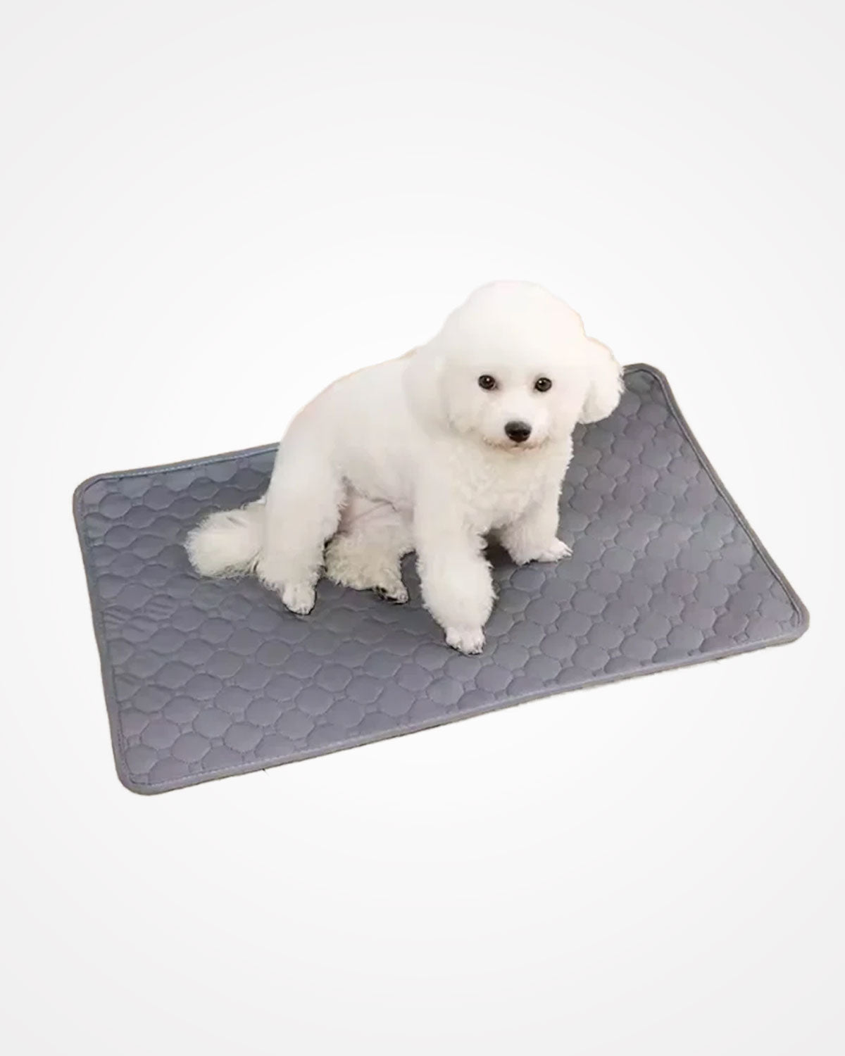 Reusable Washable Dog Pee Pad | Waterproof Absorbent Training Mat for Dogs & Cats