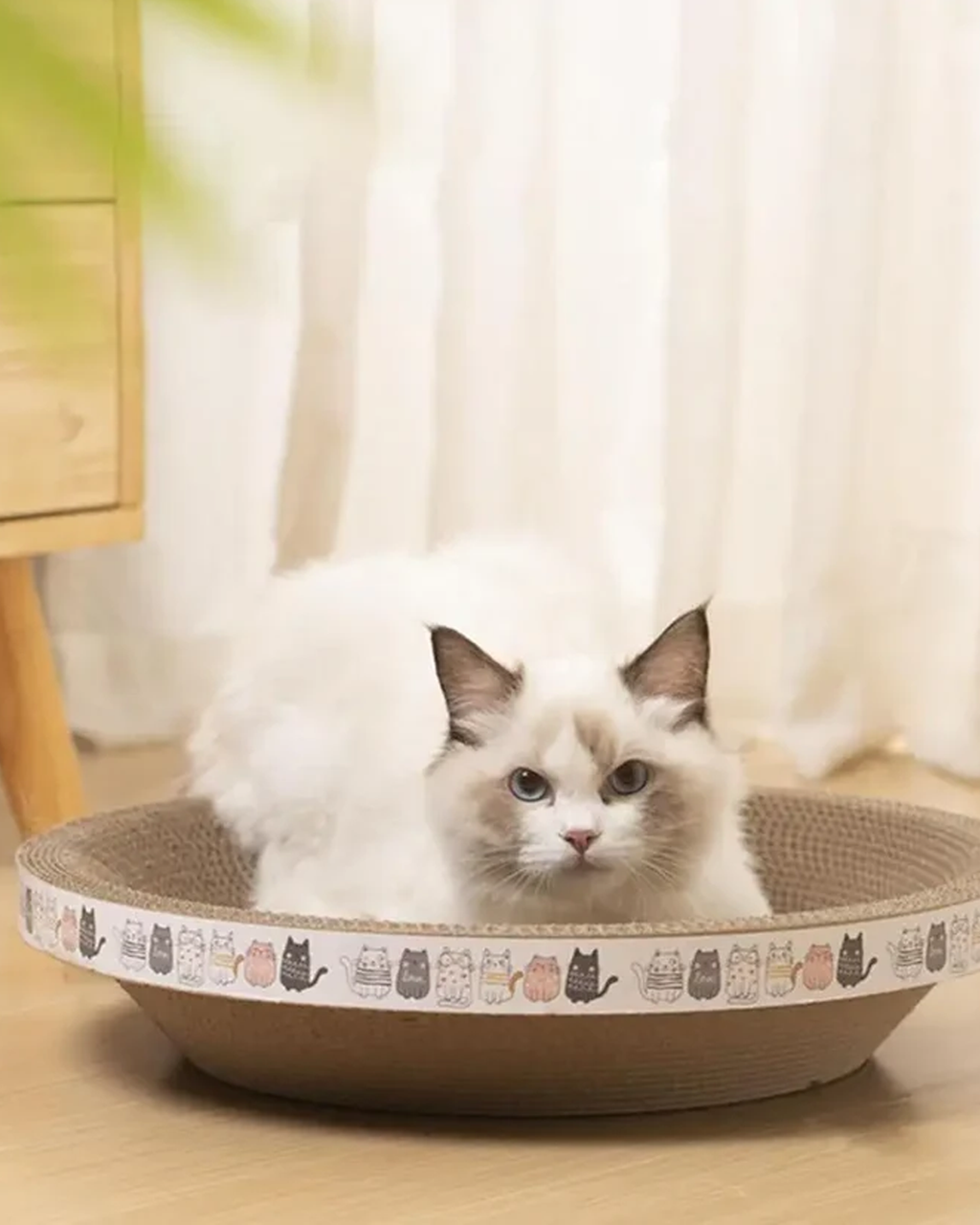 Round Corrugated Cat Scratcher Bed - Wear-Resistant Cardboard Scratching Pad & Nest