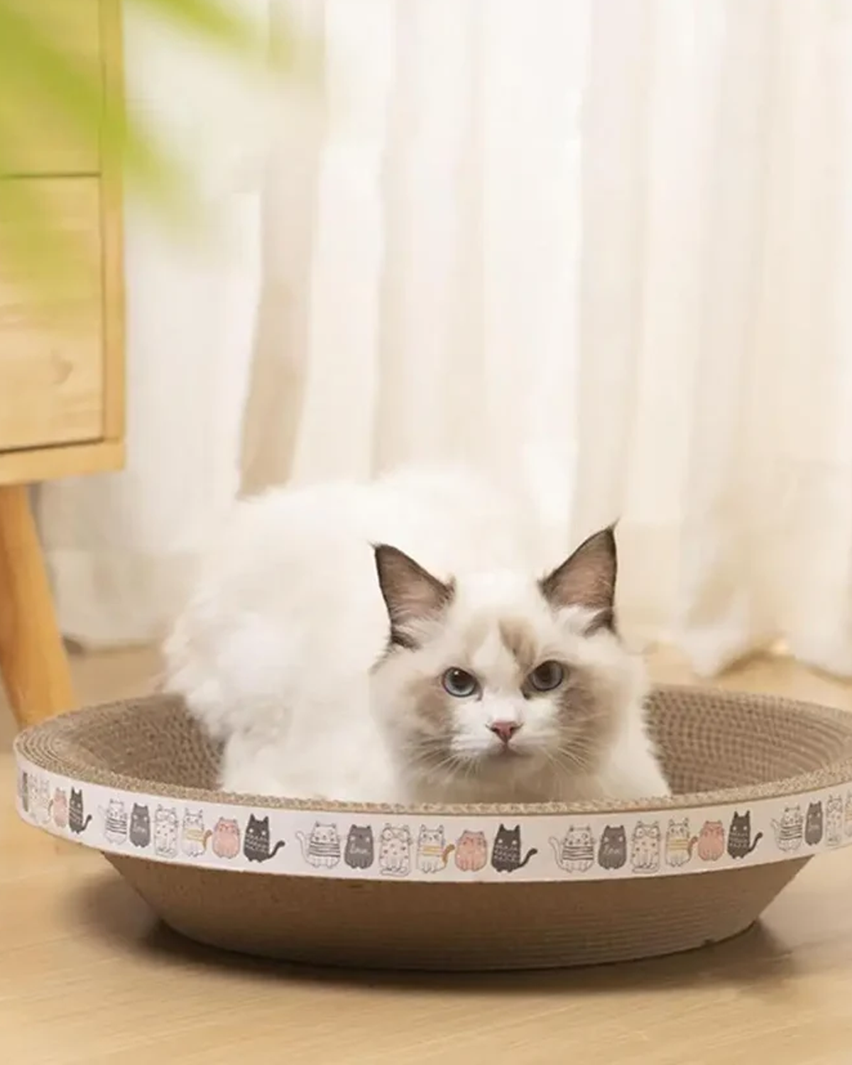 Round Corrugated Cat Scratcher Bed - Wear-Resistant Cardboard Scratching Pad & Nest
