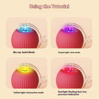 Automatic Rolling Cat Ball Toy with Teaser Bird | Rechargeable Smart Interactive Toy for Cats & Kittens