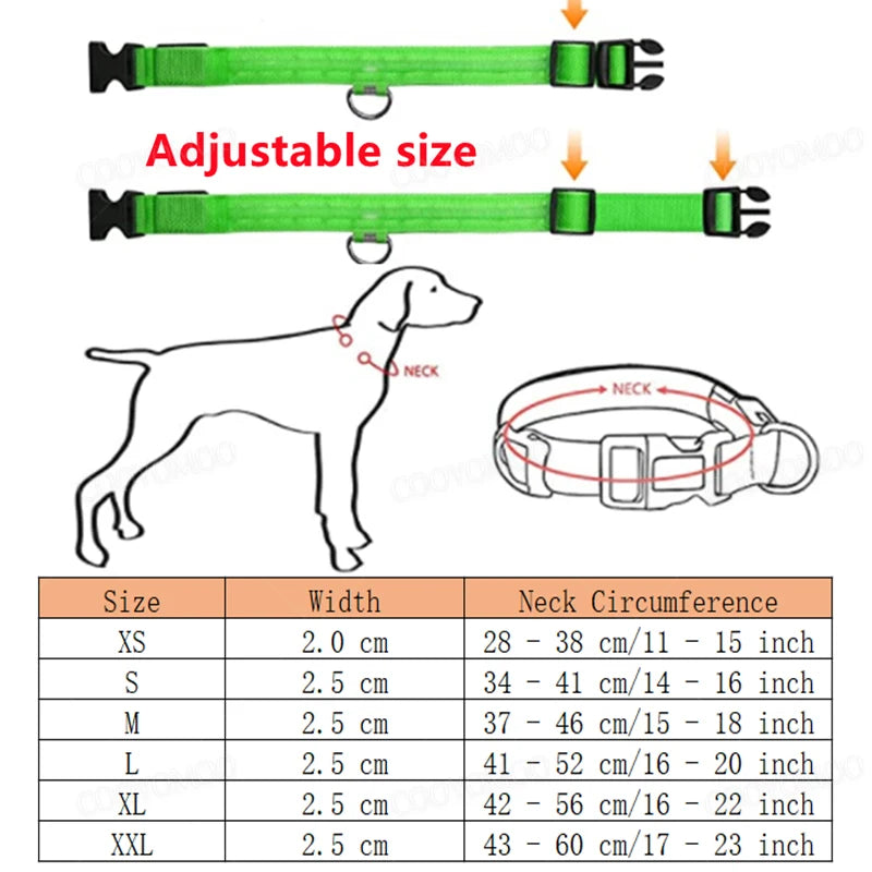 LED Glow Dog Collar | USB Rechargeable Luminous Safety Collar for Night Walks & Pet Visibility