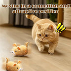 Interactive Cat Toys for Indoor Cats Cat Mouse Toy Electric