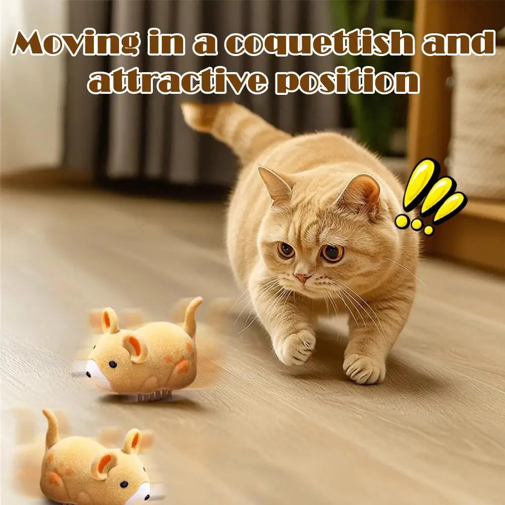 Interactive Cat Toys for Indoor Cats Cat Mouse Toy Electric