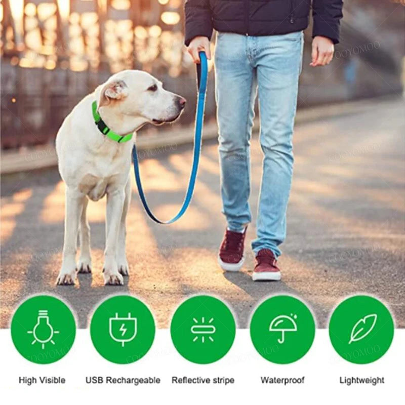 LED Glow Dog Collar | USB Rechargeable Luminous Safety Collar for Night Walks & Pet Visibility