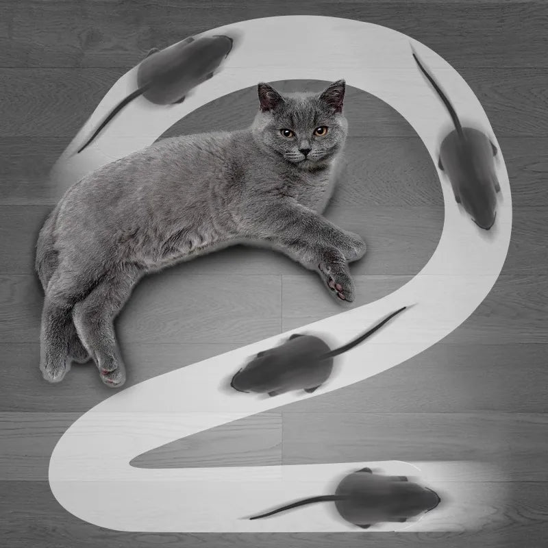 Interactive Remote Control Mouse Cat Toy | Realistic Teaser Toy for Cats & Kittens