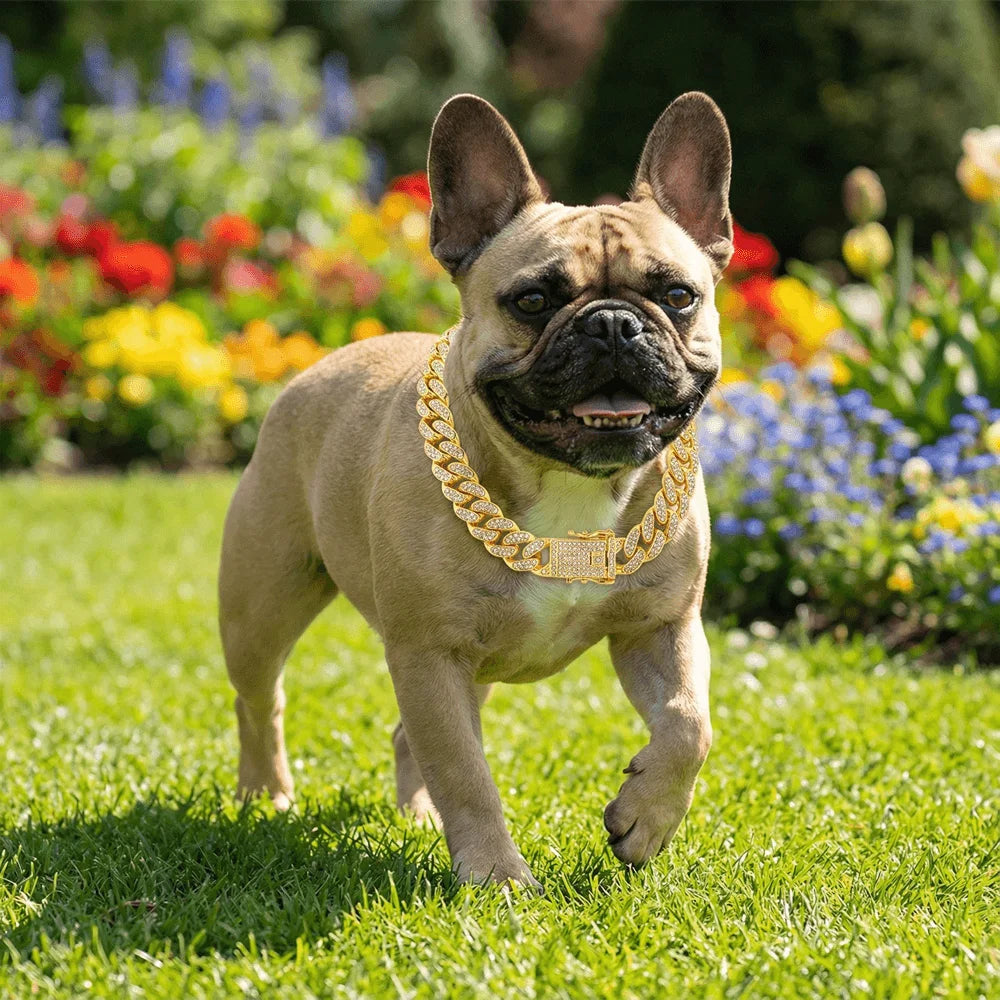 Luxury Hip Hop Dog Collar, Gold Tone Stainless Steel Cuban