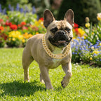 Luxury Hip Hop Dog Collar, Gold Tone Stainless Steel Cuban