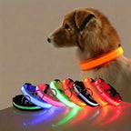 LED Glow Dog Collar – USB Rechargeable Nylon Safety Collar for Night Walking
