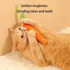 Carrot Shaped Cat Chew Toy with Bell | Durable Teething & Claw Grinding Toy for Kittens & Cats