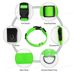 LED Glow Dog Collar | USB Rechargeable Luminous Safety Collar for Night Walks & Pet Visibility