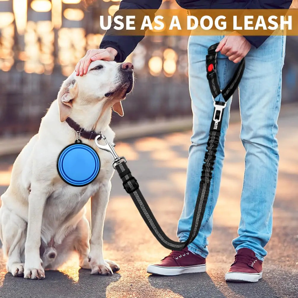 2 in 1 Solid Dog Harness Leash Pet Car Seat