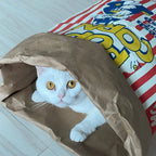Interactive Popcorn Paper Bag Puzzle Toy for Dogs & Cats – Crinkle Treat Hiding Chew Toy