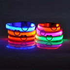 LED Glow Dog Collar – USB Rechargeable Nylon Safety Collar for Night Walking