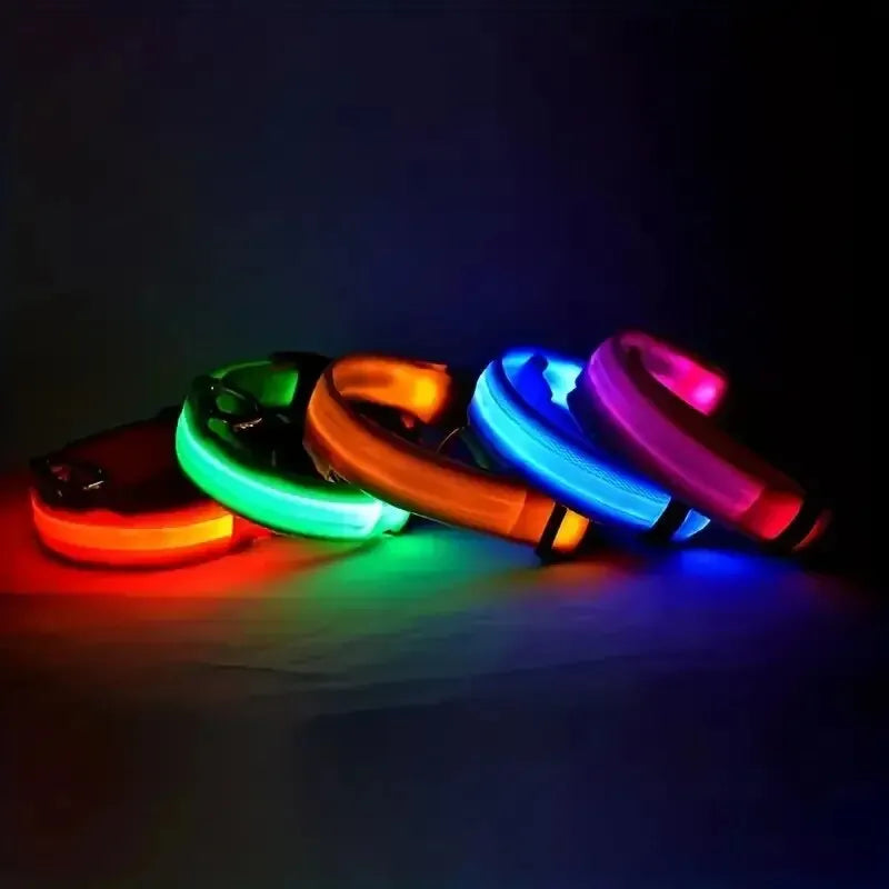 LED Glow Dog Collar – USB Rechargeable Nylon Safety Collar for Night Walking