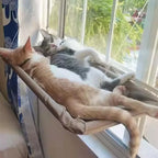 Cat Window Hanging Hammock Bed with Suction Cups | Space-Saving Pet Perch