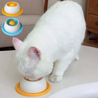 Interactive Slow Feeder Cat Bowl – Treat Dispensing Food & Water Bowl for Cats & Small Dogs