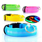 LED Glow Dog Collar | USB Rechargeable Luminous Safety Collar for Night Walks & Pet Visibility