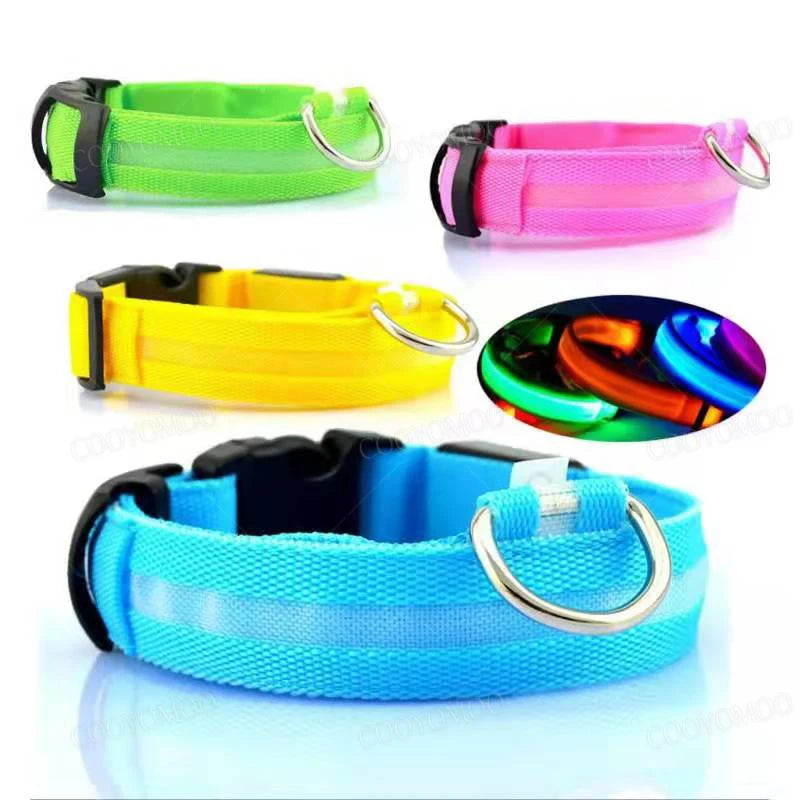 LED Glow Dog Collar | USB Rechargeable Luminous Safety Collar for Night Walks & Pet Visibility