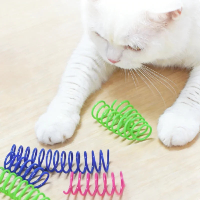 Colorful Plastic Spring Cat Toy | Interactive Jumping Chew Toy for Cats & Kittens