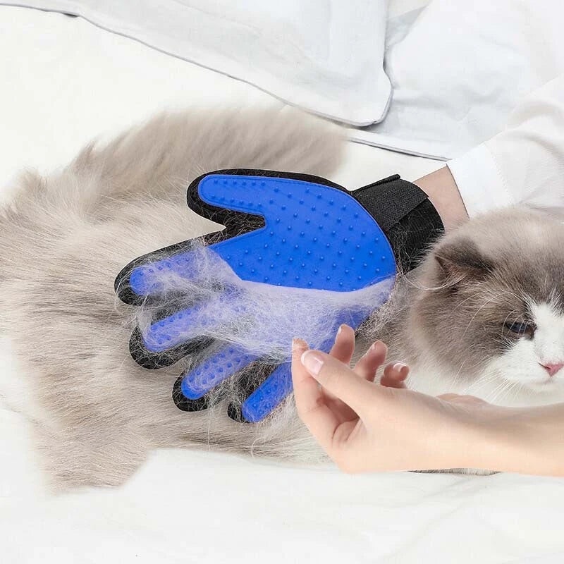 Pet Grooming & Bath Massage Glove for Dogs and Cats – Hair Removal Grooming Mitt