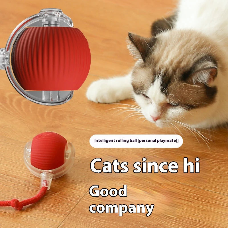 Automatic Rolling Cat Ball Toy with Teaser Bird | Rechargeable Smart Interactive Toy for Cats & Kittens