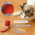 Automatic Rolling Cat Ball Toy with Teaser Bird | Rechargeable Smart Interactive Toy for Cats & Kittens