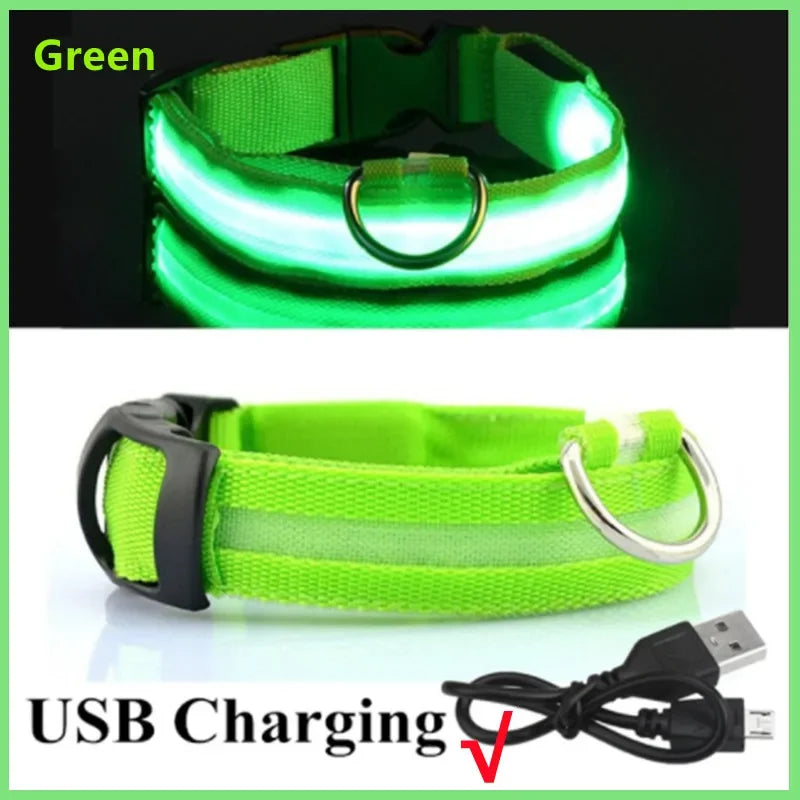 LED Glow Dog Collar | USB Rechargeable Luminous Safety Collar for Night Walks & Pet Visibility