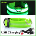 LED Glow Dog Collar | USB Rechargeable Luminous Safety Collar for Night Walks & Pet Visibility