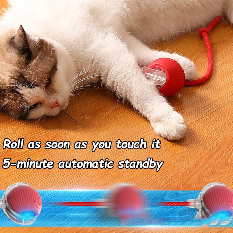 Rechargeable Interactive Rolling Cat Ball with Tail – Automatic Smart Cat Toy