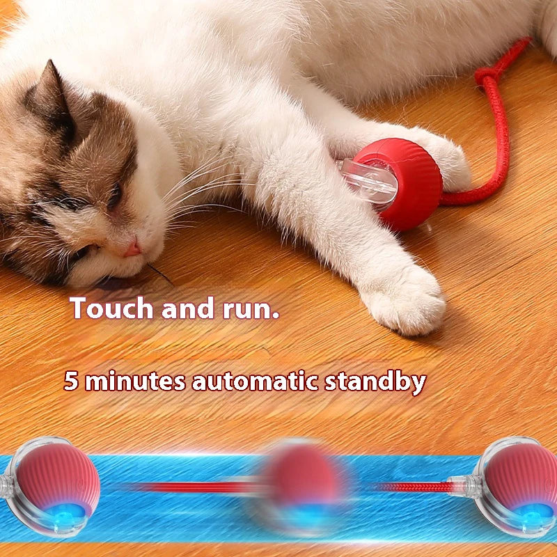 Automatic Rolling Cat Ball Toy with Teaser Bird | Rechargeable Smart Interactive Toy for Cats & Kittens
