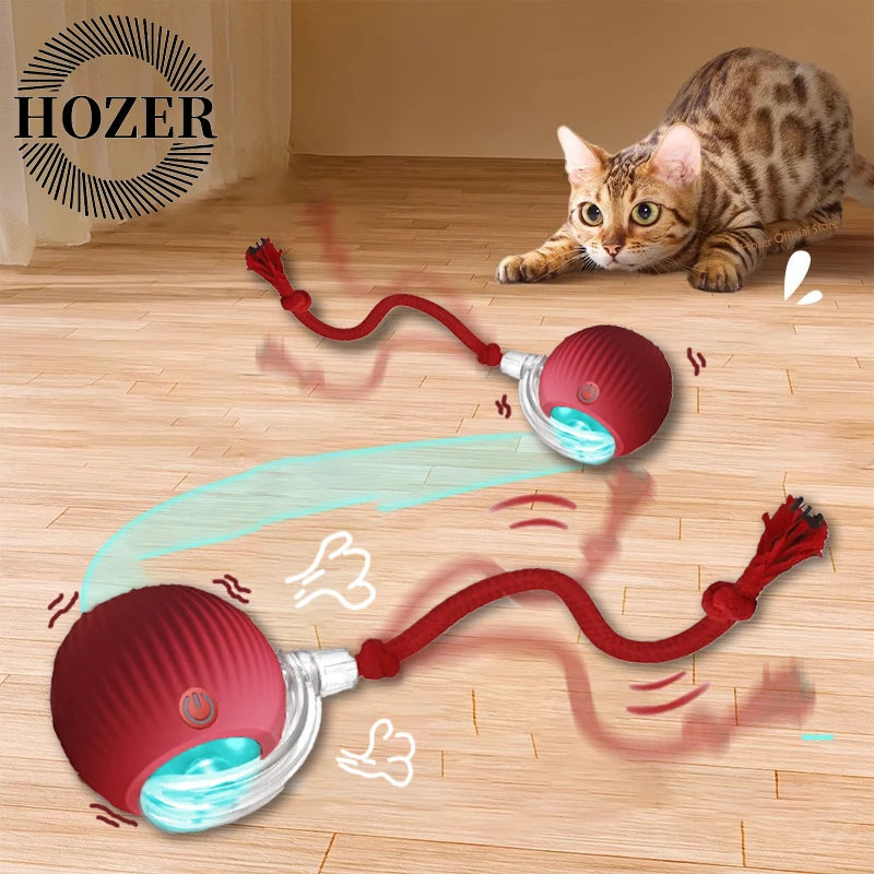 Rechargeable Interactive Rolling Cat Ball with Tail – Automatic Smart Cat Toy