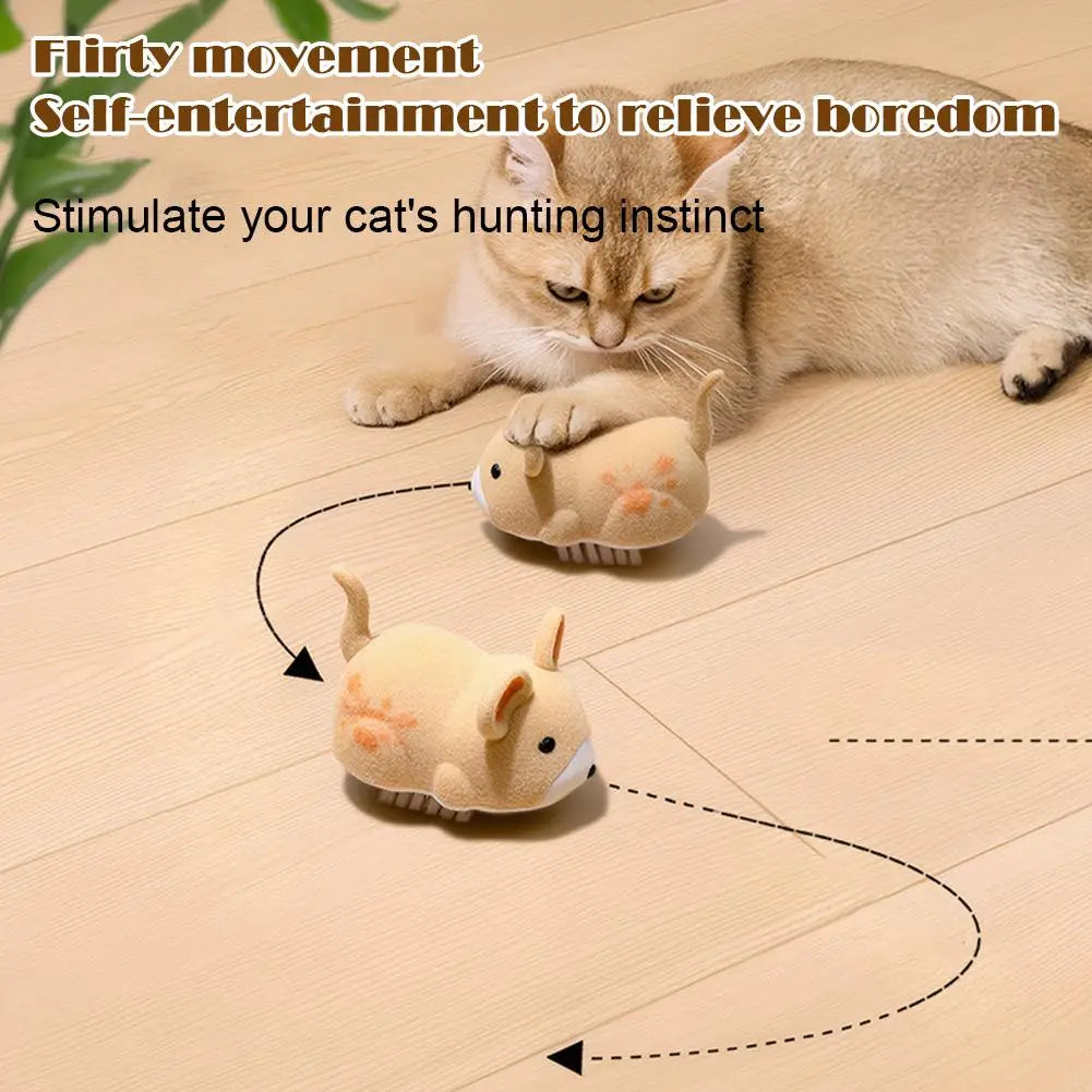 Interactive Cat Toys for Indoor Cats Cat Mouse Toy Electric