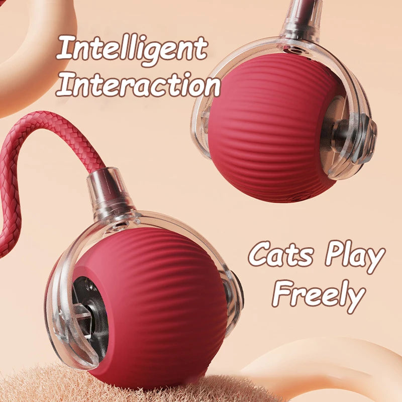 Rechargeable Interactive Rolling Cat Ball with Tail – Automatic Smart Cat Toy