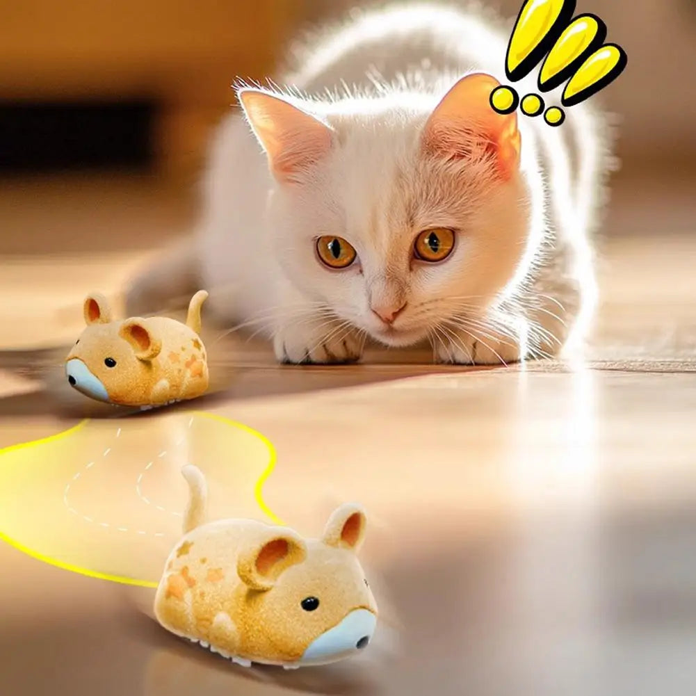Interactive Cat Toys for Indoor Cats Cat Mouse Toy Electric