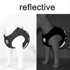 Adjustable Reflective Cat Harness & Leash Set | Escape Proof Mesh Vest for Cats & Small Dogs