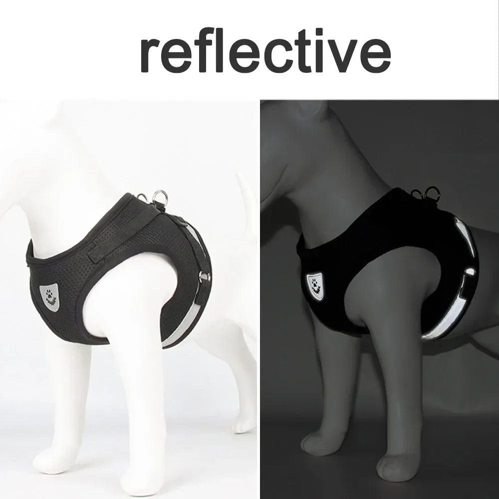 Adjustable Reflective Cat Harness & Leash Set | Escape Proof Mesh Vest for Cats & Small Dogs