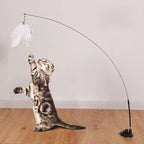 Hands-Free Cat Teaser Wand Toy with Suction Cup & Feather Bird | Interactive Kitten Play Toy