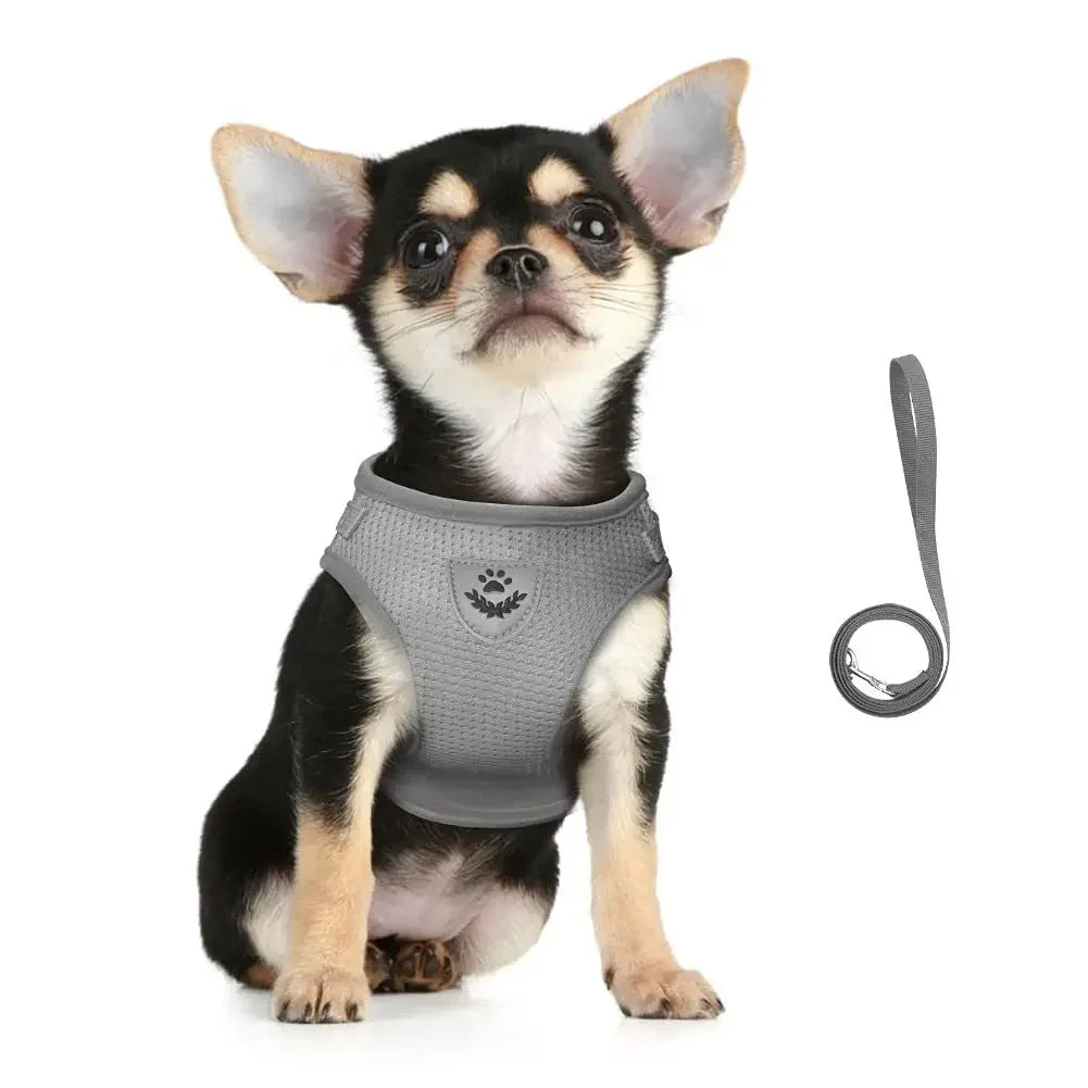 Adjustable Reflective Cat Harness & Leash Set | Escape Proof Mesh Vest for Cats & Small Dogs