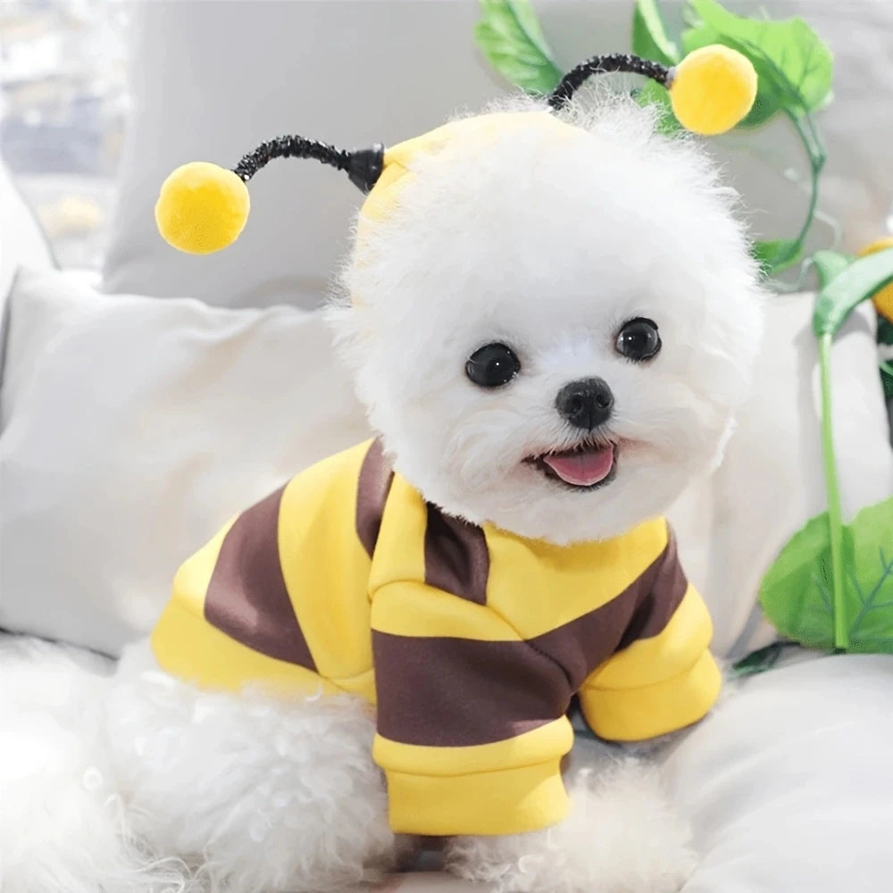 Bee Pet Costume Hoodie for Dogs & Cats