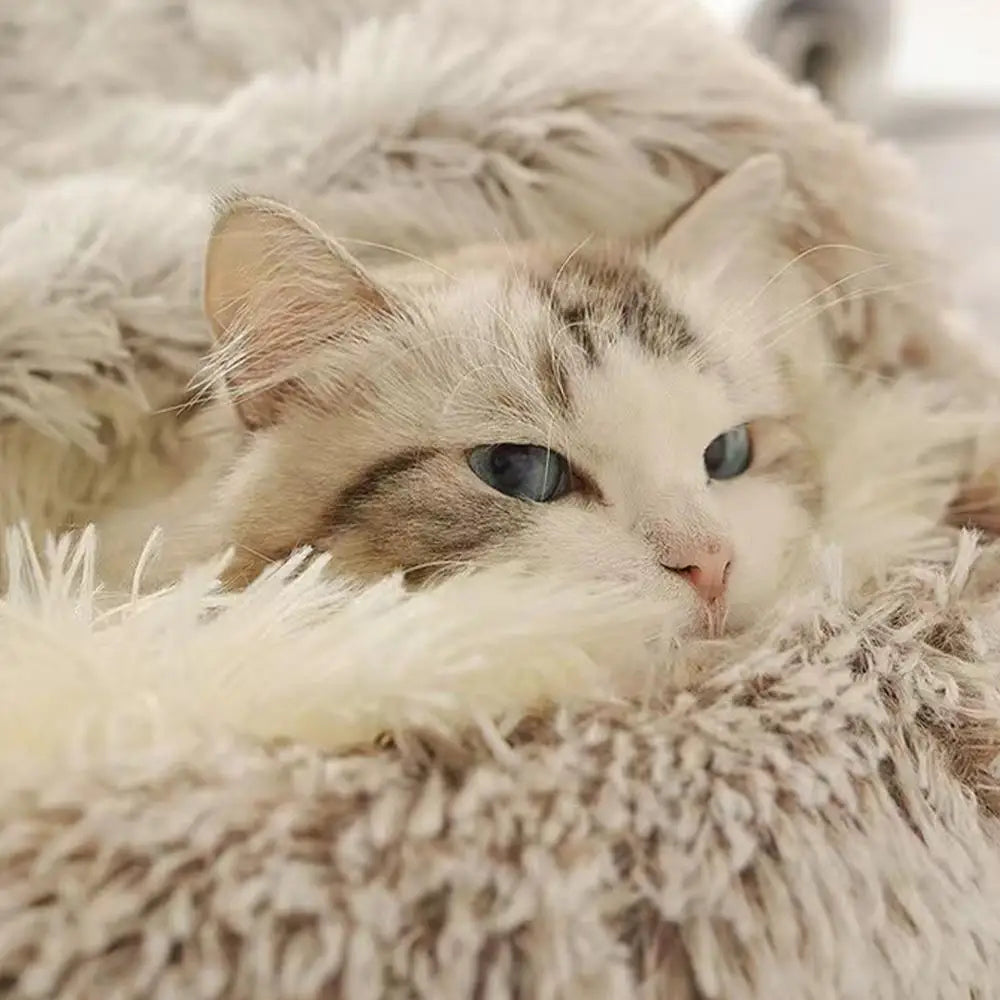 Soft Plush Cat Bed with Cover | Warm Round Sleeping Nest Cave for Cats & Small Dogs