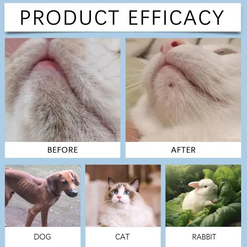 Pet Chin Cleaner 30g | Cat & Dog Black Chin Care Lotion with Cleaning Brush